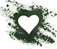 Spirulina Pulver von Natrea Spirulina Pulver von Natrea