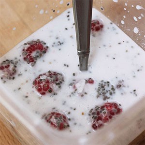 Chia Eis Chia Eis Rezept