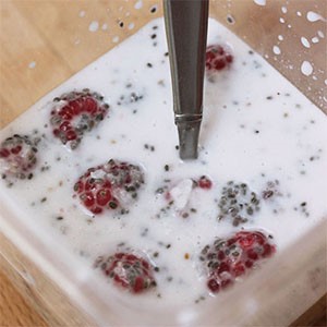 Chia Eis Rezept